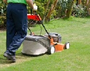 Domestic Grass Cutting Service In Sheffield