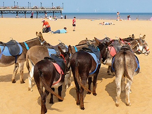 Mobility Scooter Shop In Blackpool